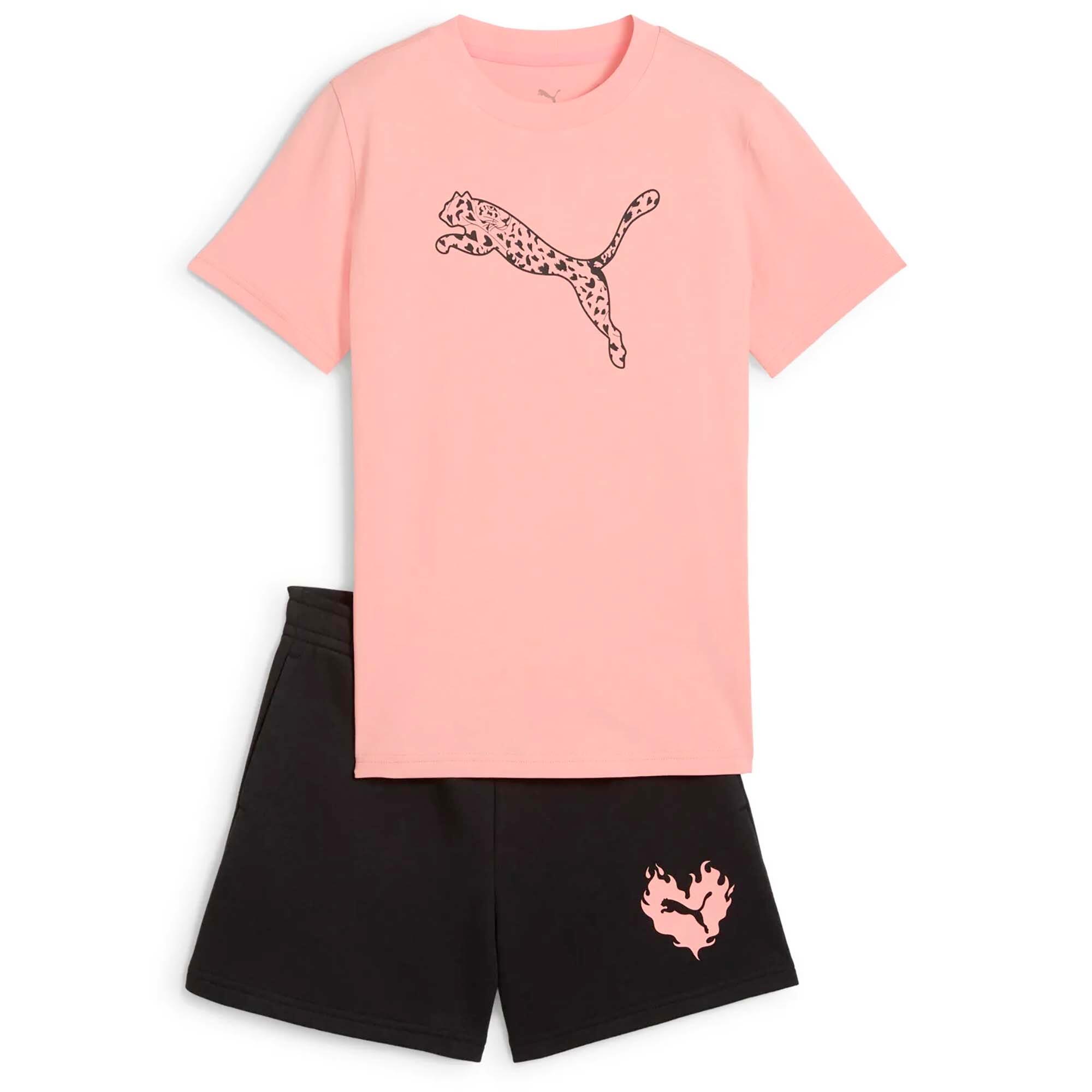 PUMA picture
