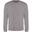 Sweatshirt Unisexe (Gris Platine)