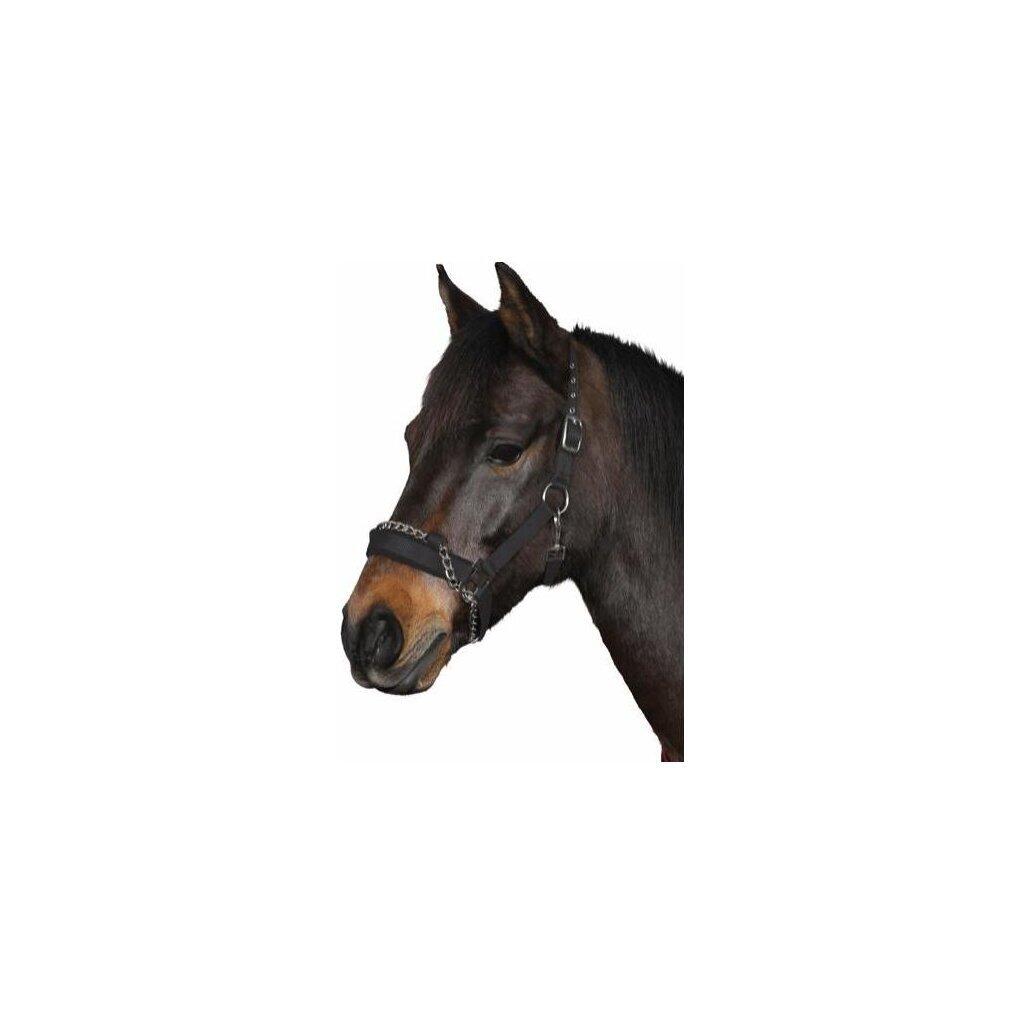 Licol pour cheval ave chaîne HorseGuard 2/2