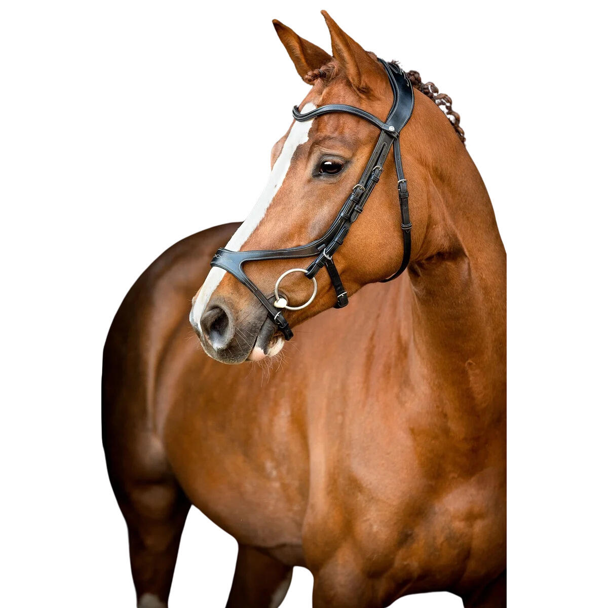 Bride Montar US Excellence 2/4