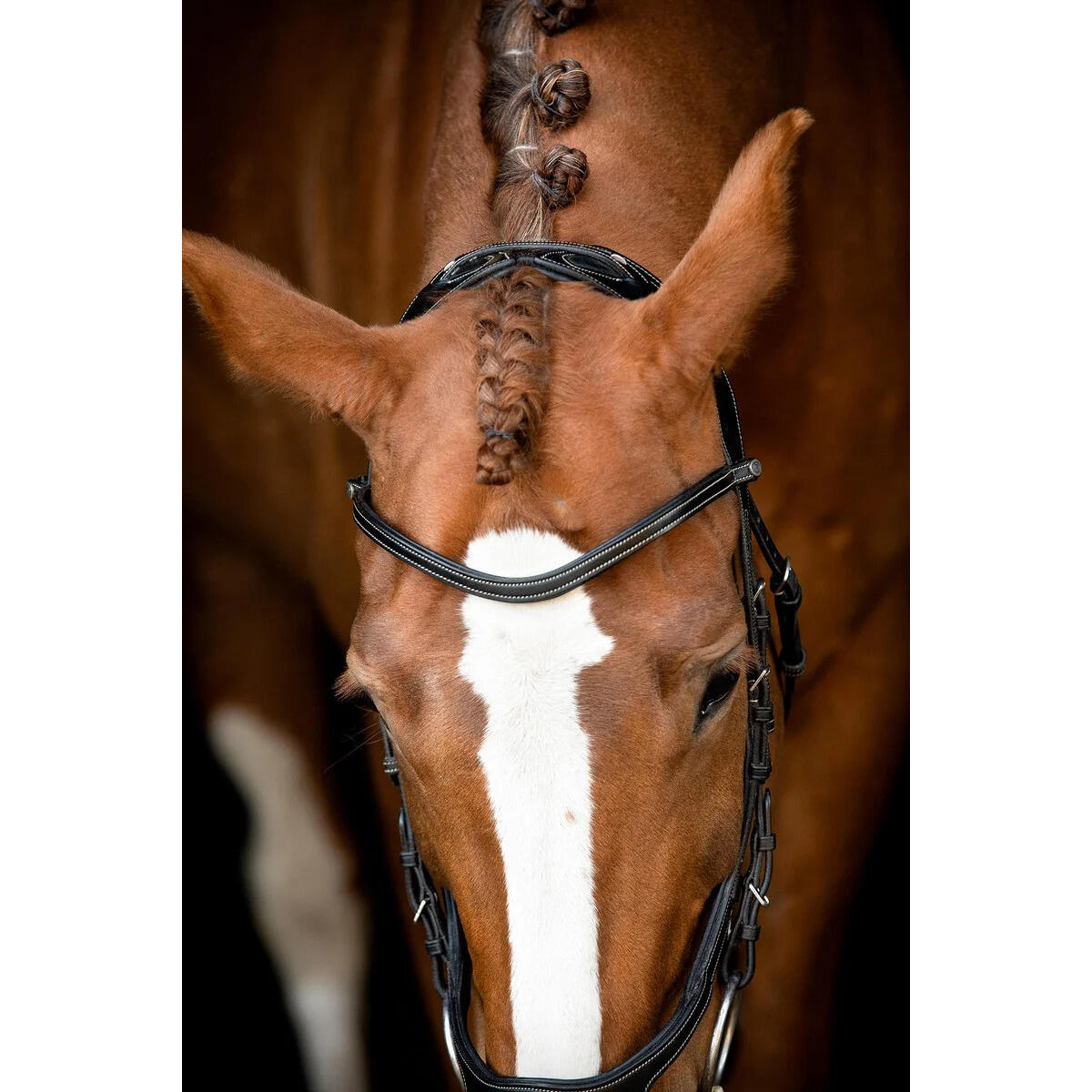 Bride Montar US Excellence 3/4