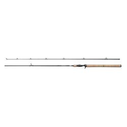 Canne casting Berkley Lightning HT II 15-55g