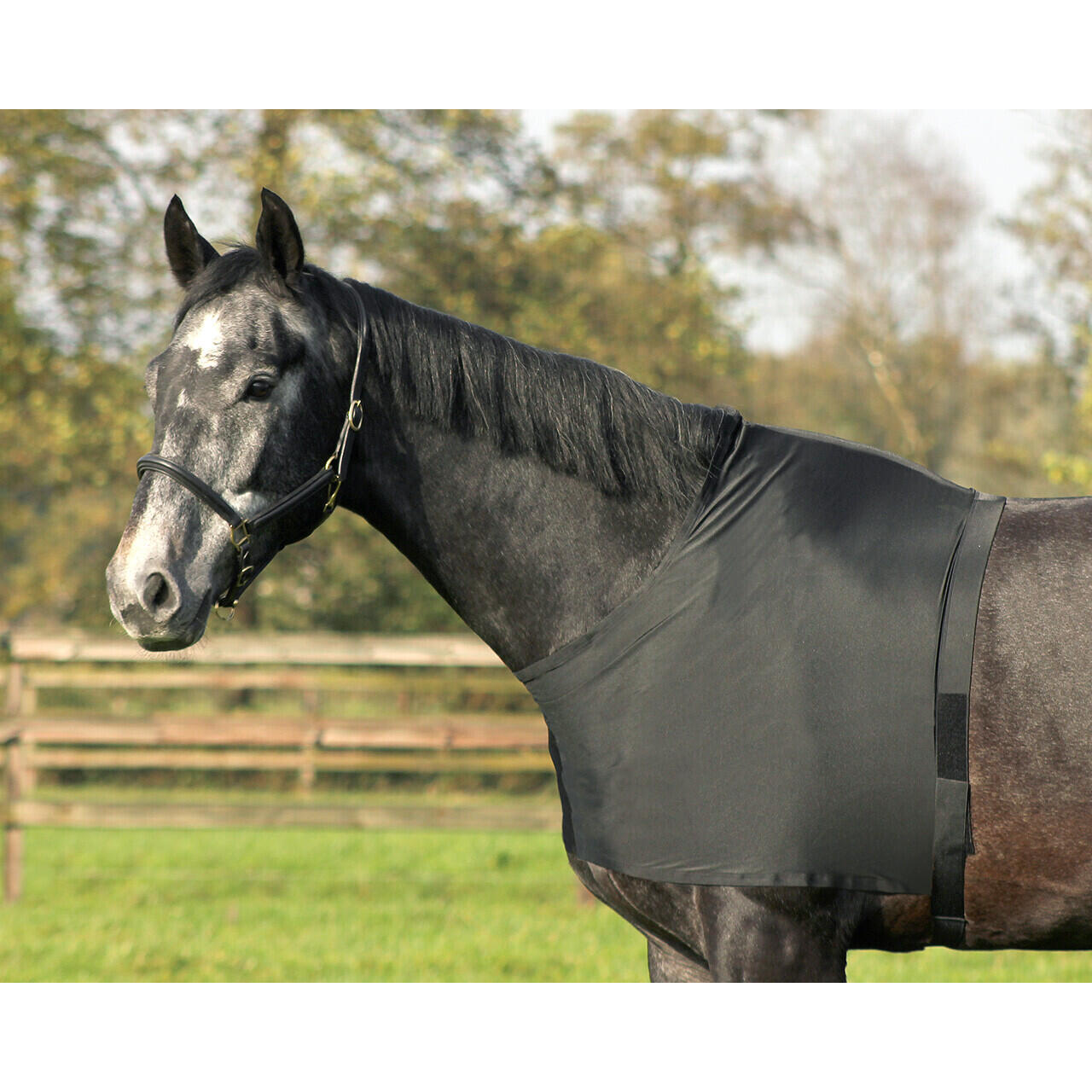 QHP Borst- en schouderbescherming van elastaan Q-essentials