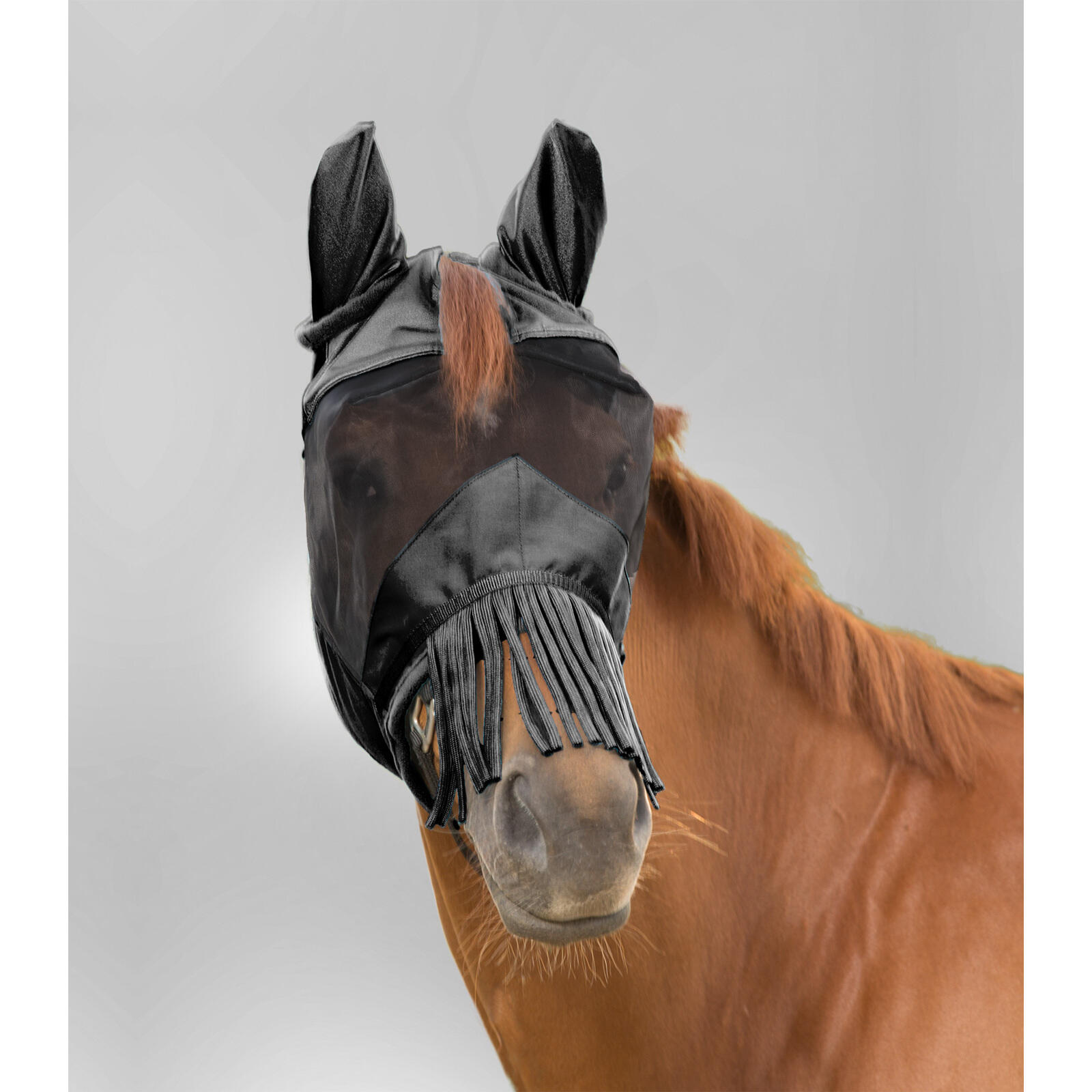 Waldhausen - Masque Anti-mouches Pour Cheval Avec Protection Des Oreilles Et Du Chanfrein Wal - Masque Anti Mouche - Noir - Xfs - Decathlon