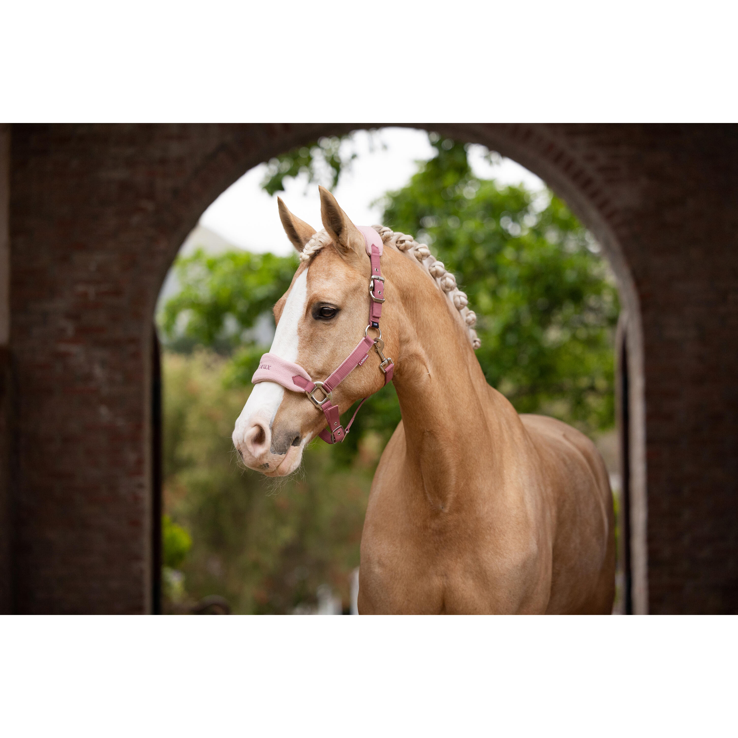 Ligne De Longe - Equitation - Mixte -  -  - 2/5