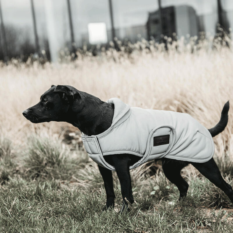 Casaco para cão refletor e impermeável com aba ventral Kentucky 150g 2/2