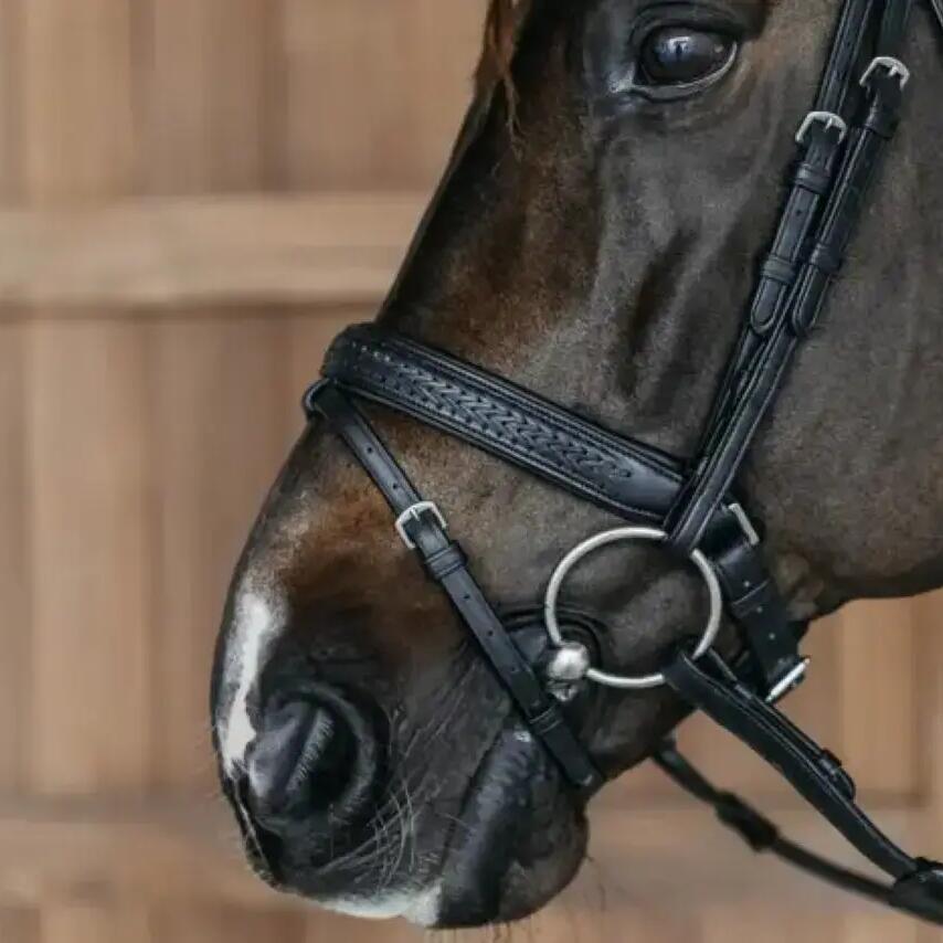 Anatomical riding bridle with combined braided noseband and pull Dy'on