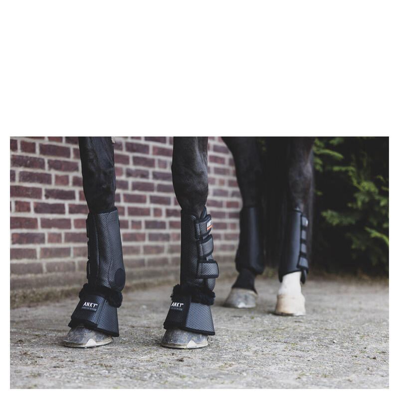 Cloches pour cheval ANKY Matt