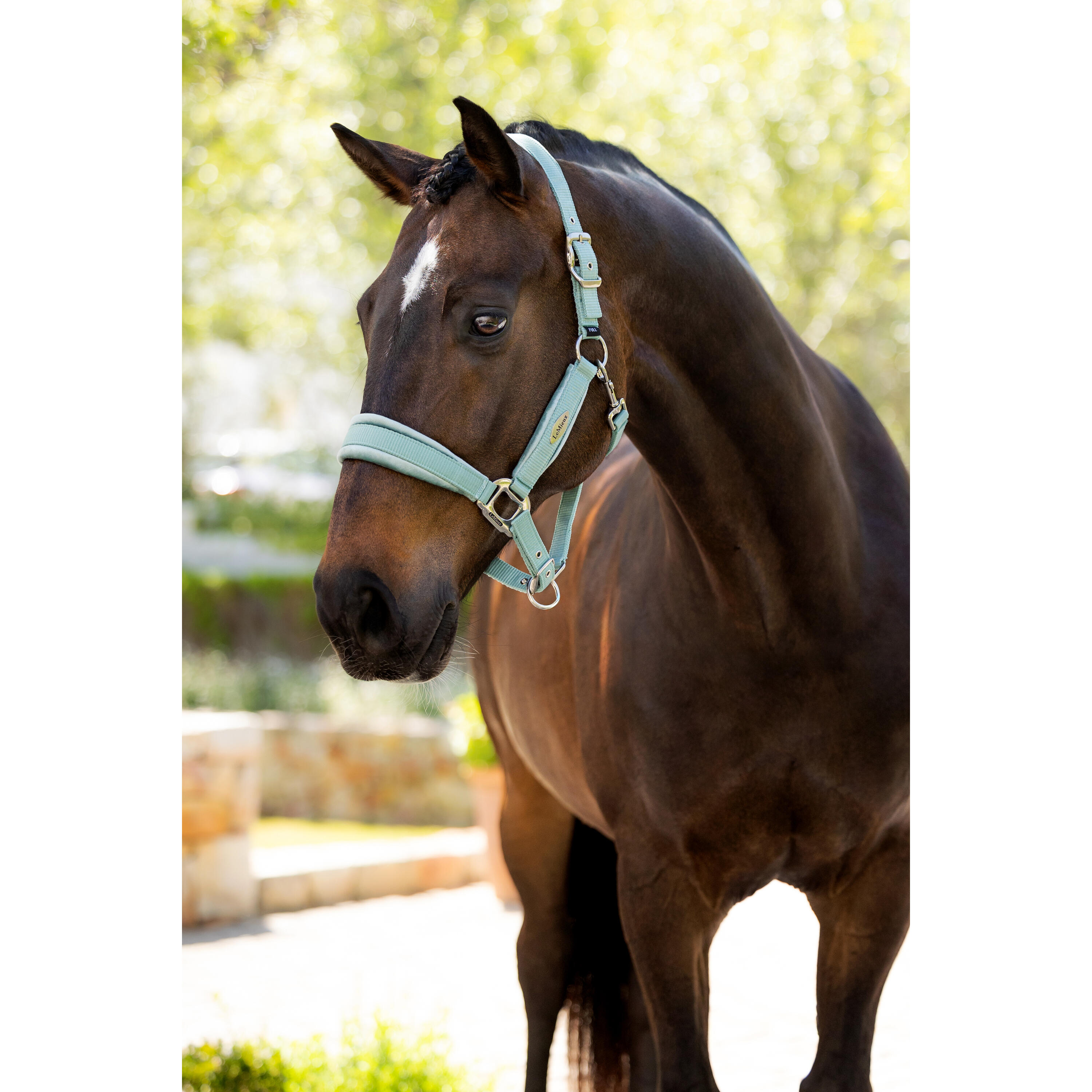 Licol pour cheval LeMieux Versailles 3/4