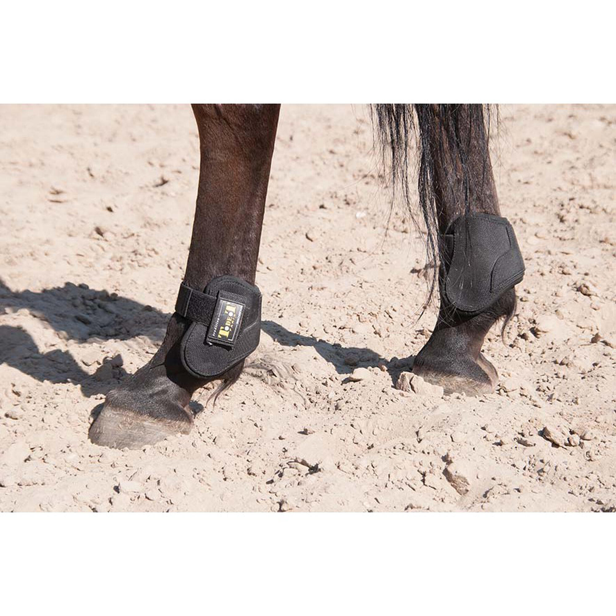 Integrale kogelbeschermer voor paarden T de T 4/4