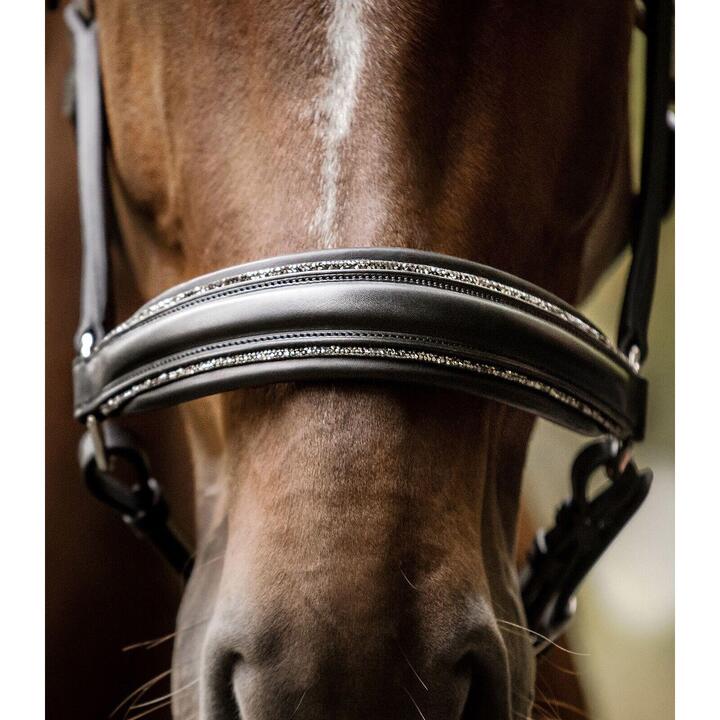 Bride D'équitation Anglaise Waldhausen, étoile Deux Tons Marron, Avec Rênes