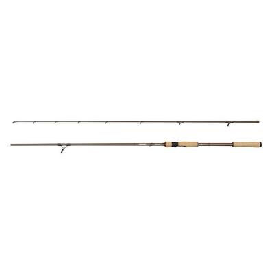 Canna da spinning Abu Garcia Beast Pro2 30-110g