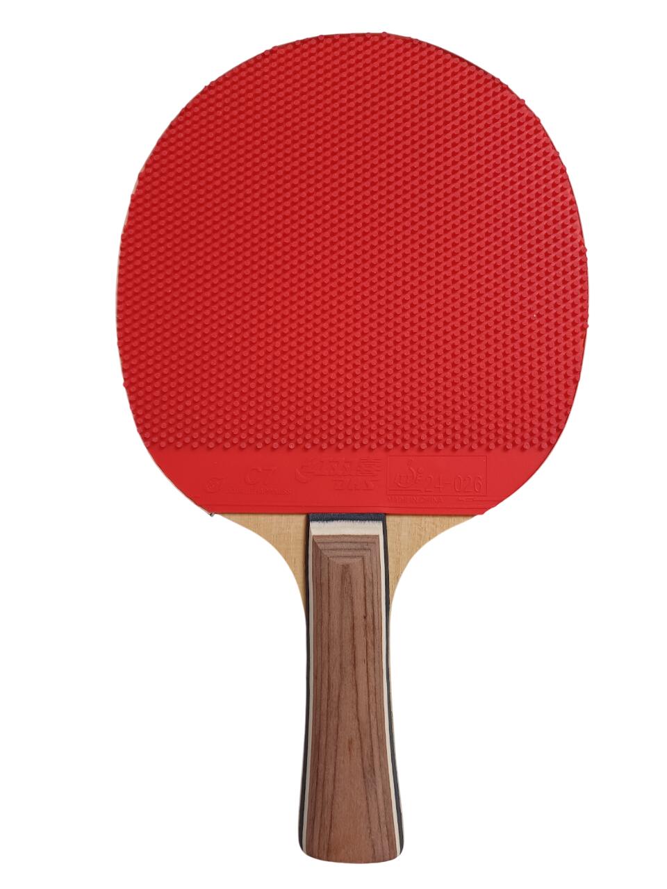 Tischtennisschläger DHS C7 mit Noppen und DHS PF4-50 3/4