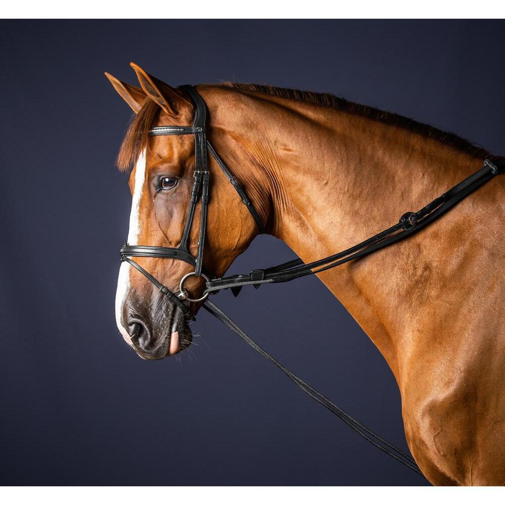 Leather and nylon horse reins Dy'on 5/8