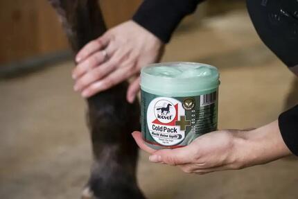 Gel de soin Leovet Cold Pack Plus 1000ml