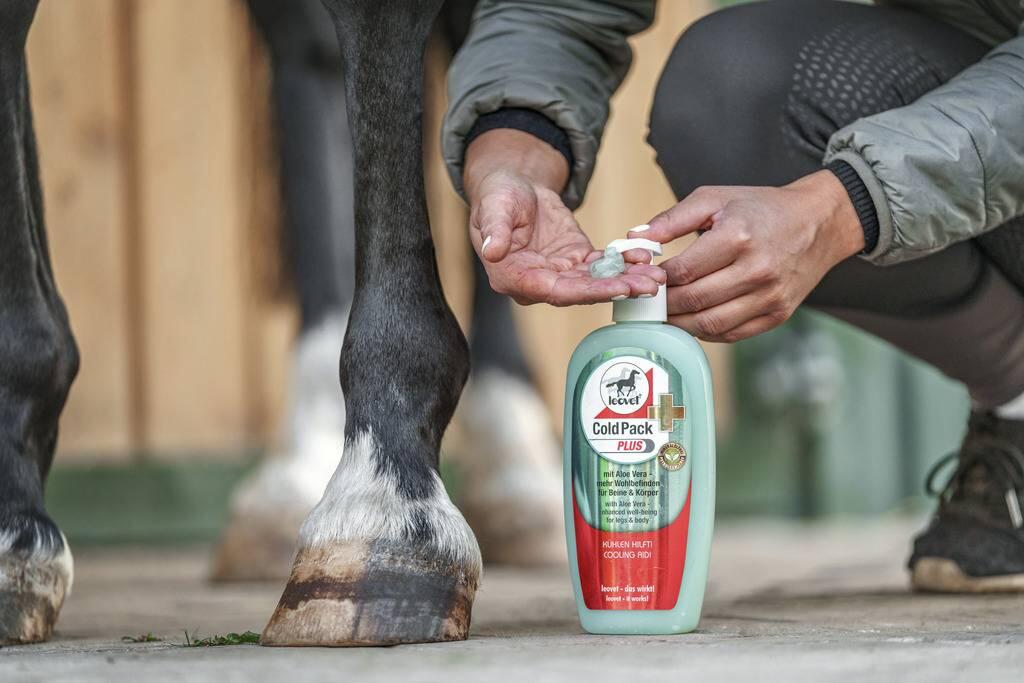Gel rafraîchissant Cold Pack Plus Aloe Vera - LEOVET 2/7