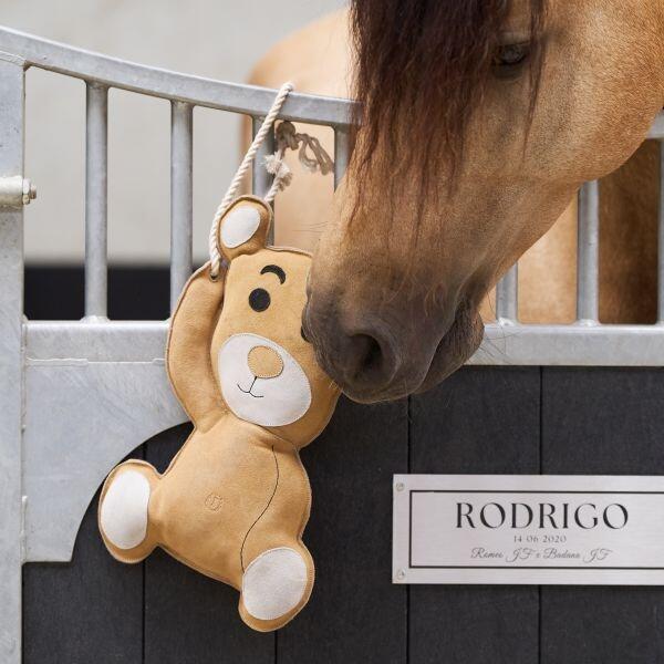 Imperial Riding copain d'écurie Teddy 2/3