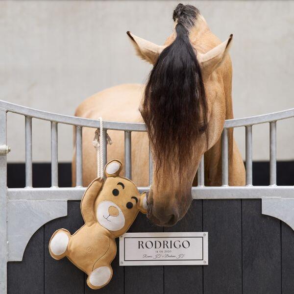 Imperial Riding copain d'écurie Teddy 3/3