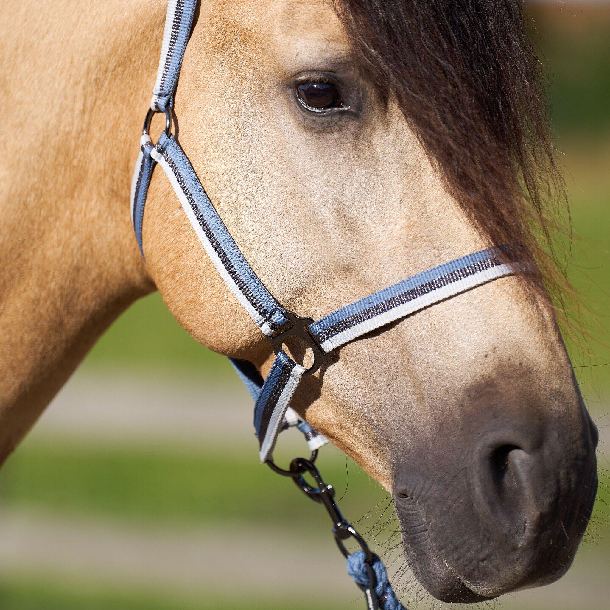 Imperial Riding Halster Economic - Moonstone (Pony) 3/3