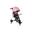 Tricycle Lionelo Tris Plus Rose