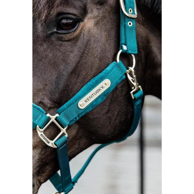 Kentucky Velvet Halster Groen -