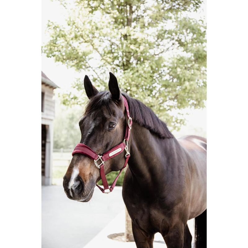 Kentucky Velvet Halster Rood -