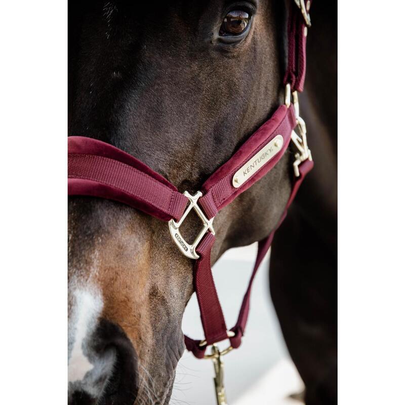 Kentucky Velvet Halster Rood -