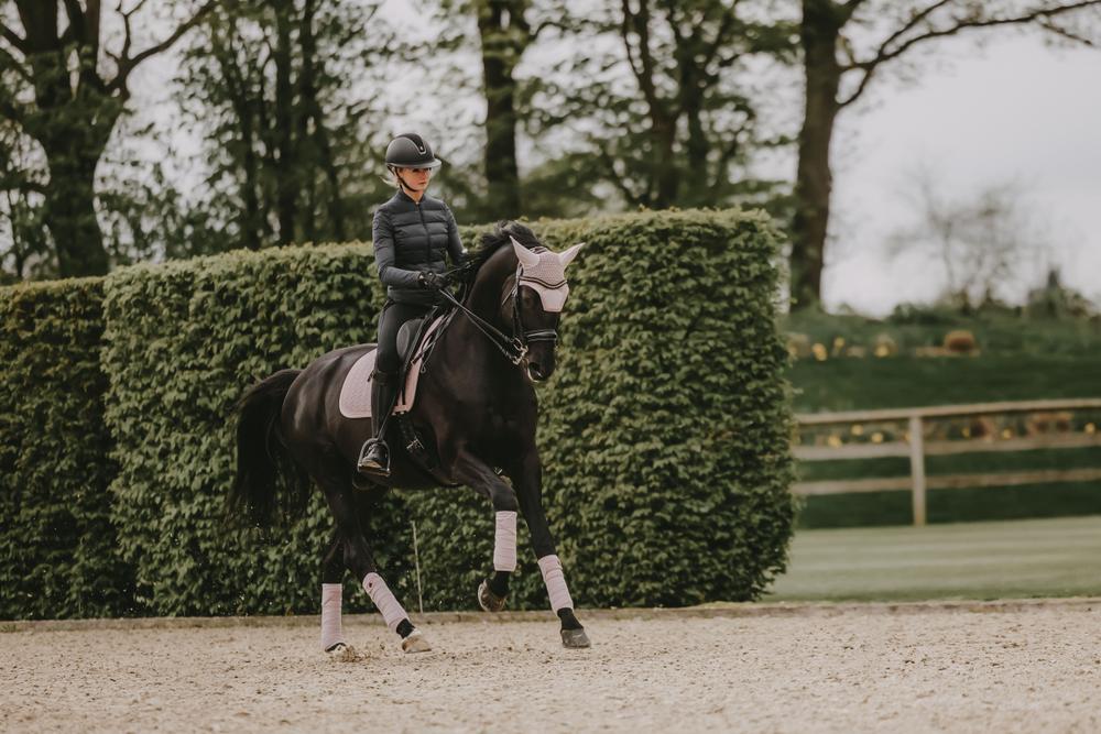 Wellington Oornetje - Velvet Pearls - Roze - Voor Paard 3/7