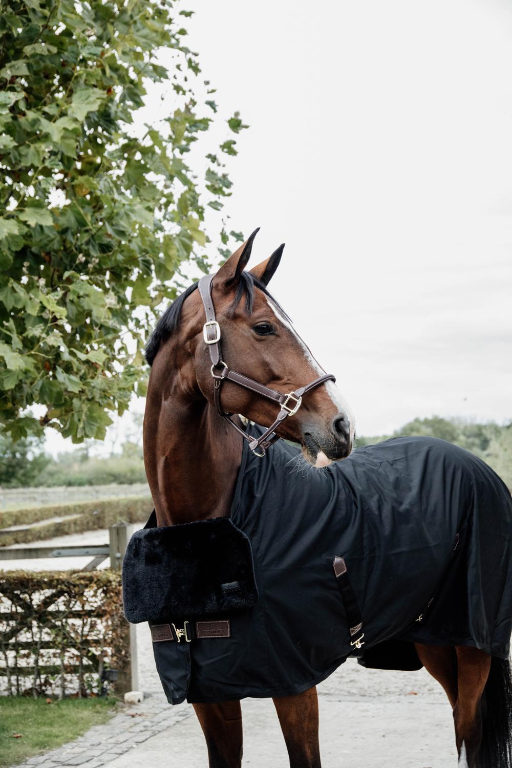 Horse BIB Schulter schutz Fell schwarz 3/5