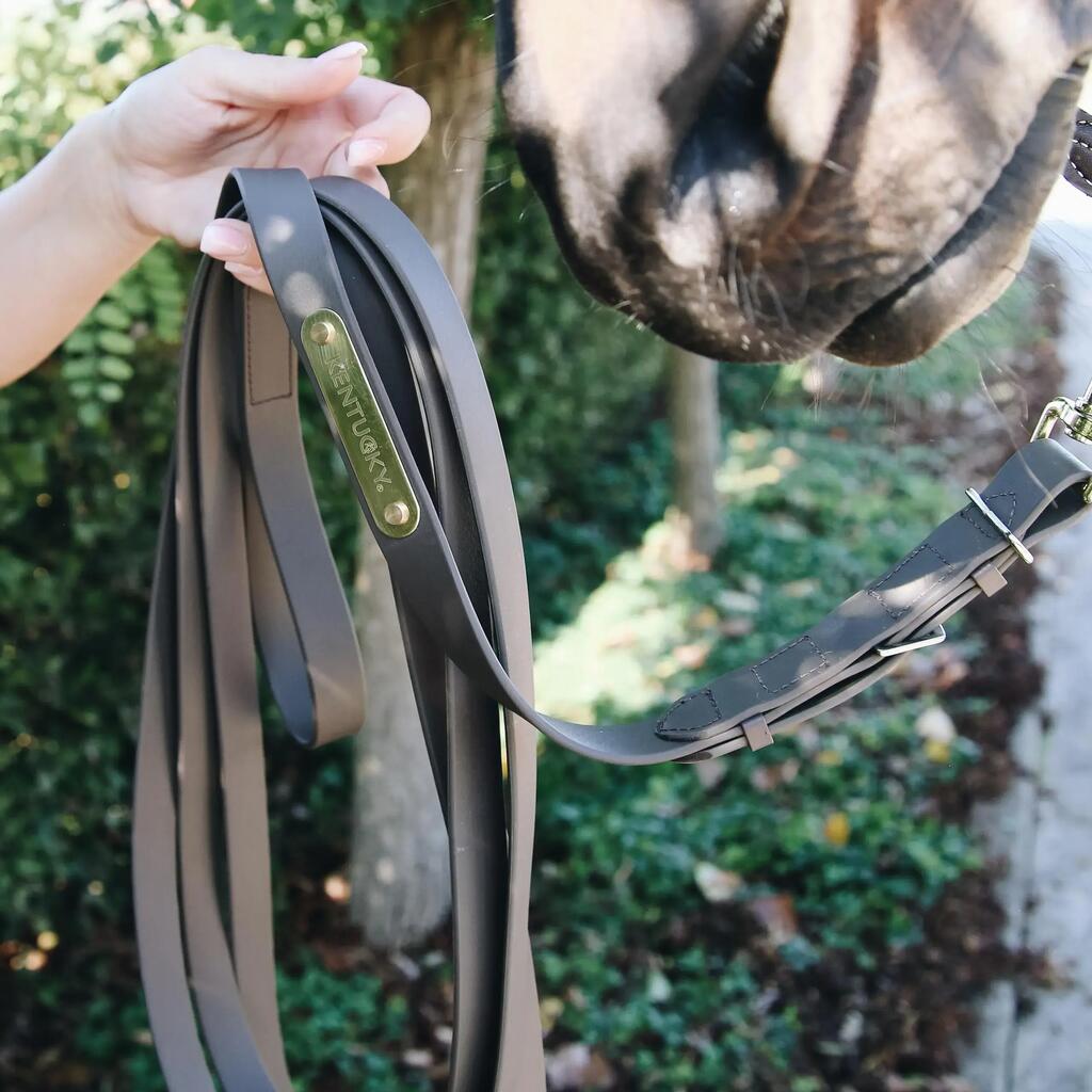 Presentation Horse Lead Rope Kentucky
