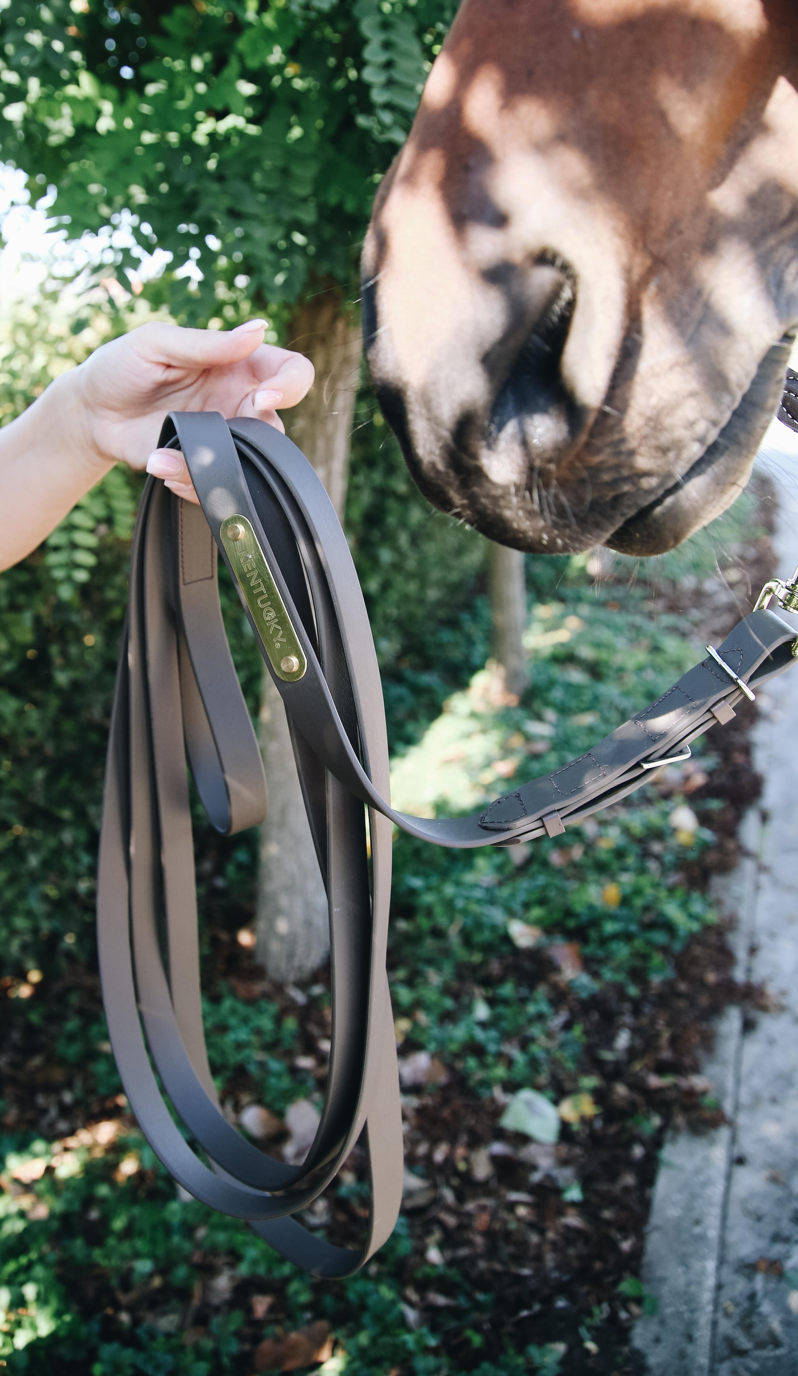KENTUCKY HORSEWEAR picture