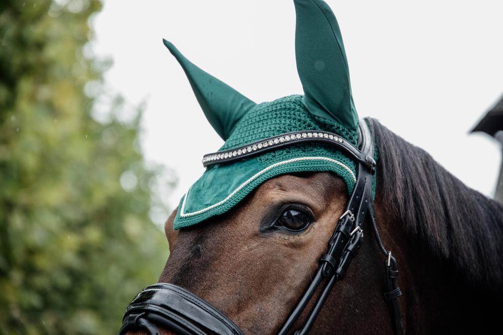 Oornetje Wellington velvet donkergroen 3/7