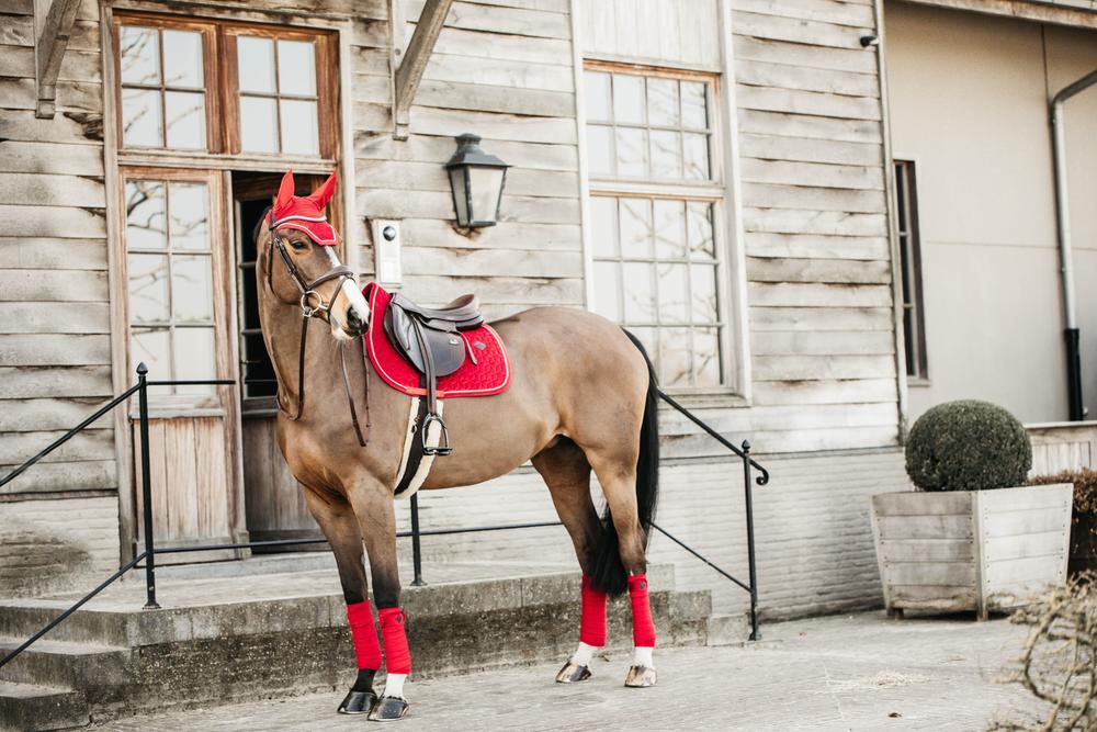 Wellington Oornetje - Velvet - Rood - Voor Paard 4/5