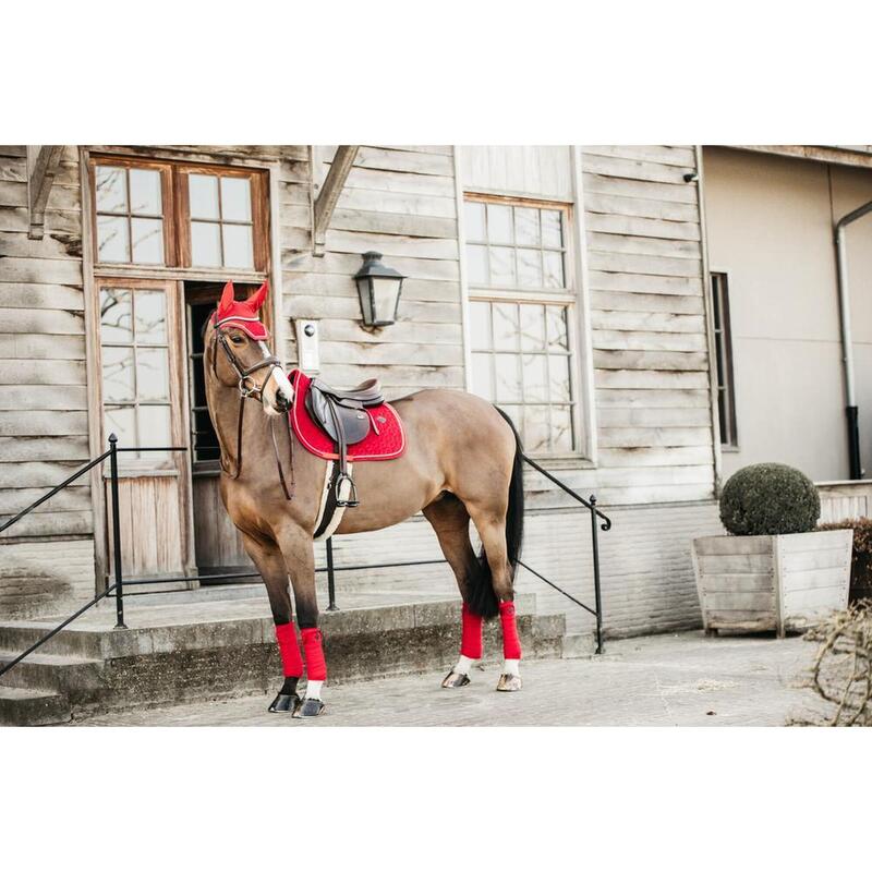 Kentucky Oornetje Wellington Velvet Rood -