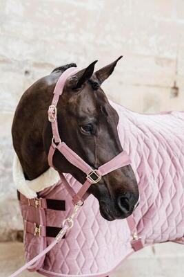 Lunghina cavallo Kentucky Basic