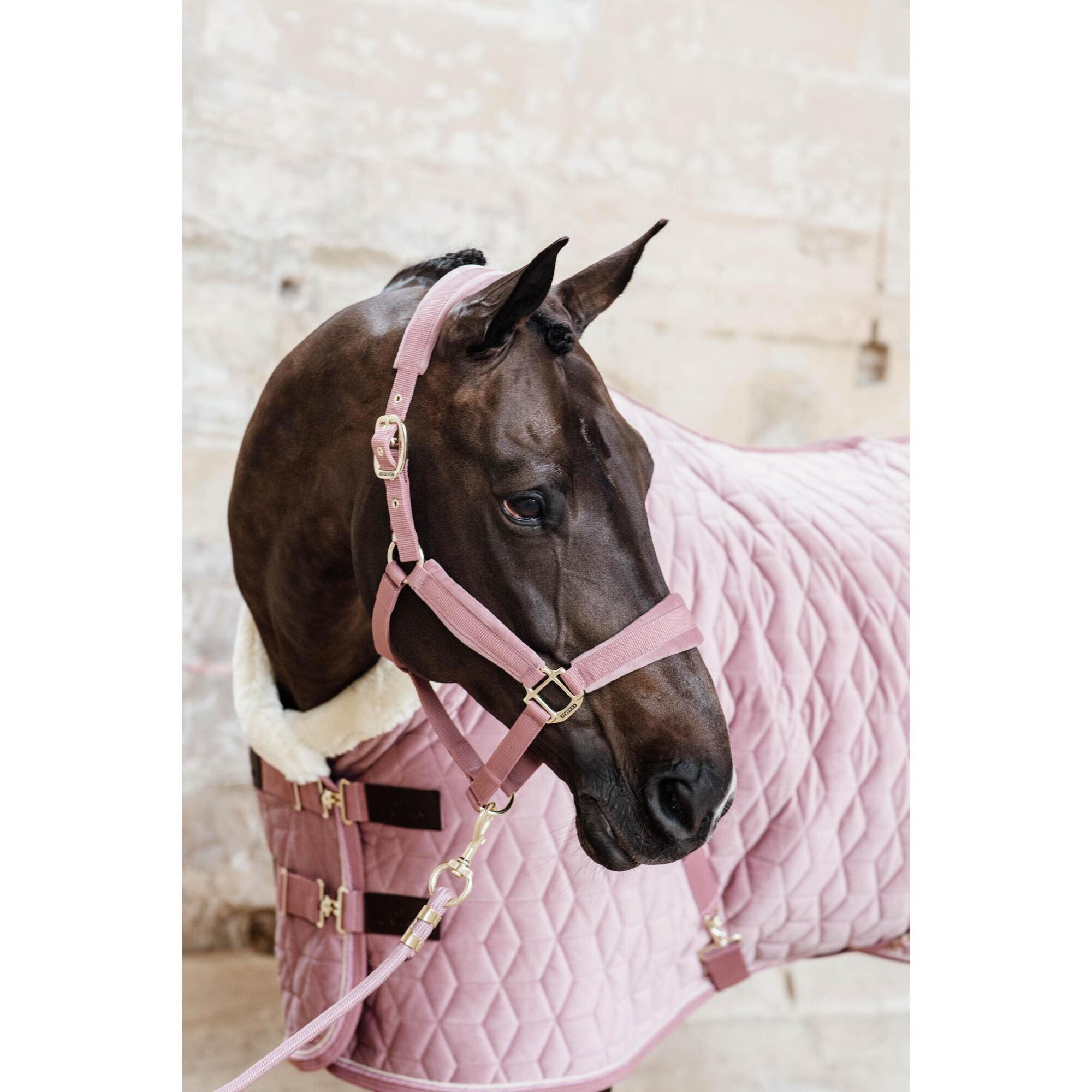 Kentucky Horsewear - Longe Basic Vieux Rose 2m - Longe D'Attache - Rose - No Size - Decathlon