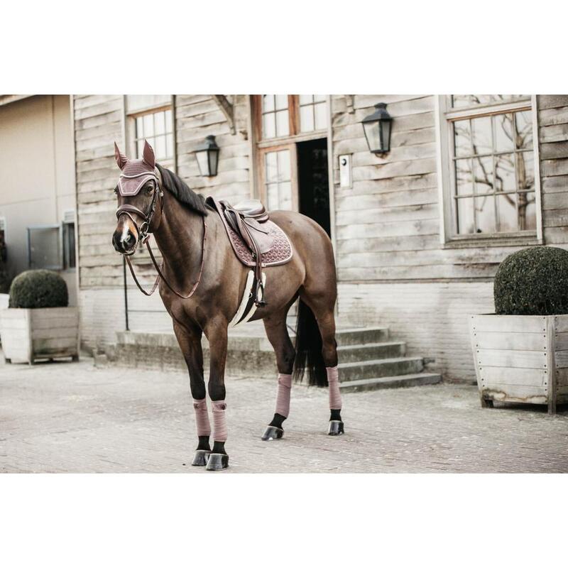 Kentucky Oornetje Wellington Velvet Paarsc -