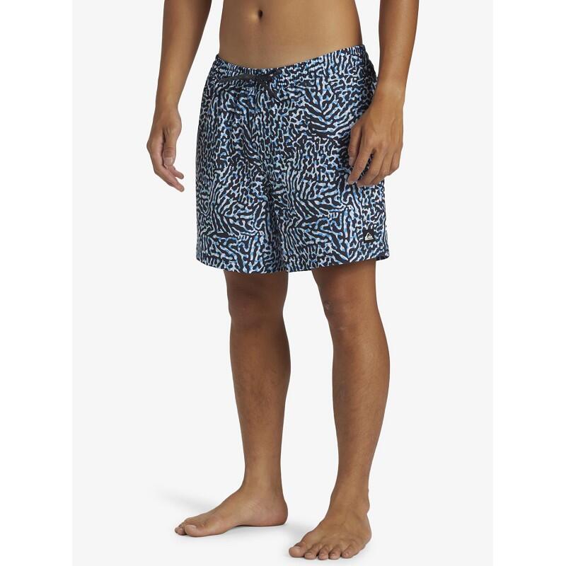 QUIKSILVER picture