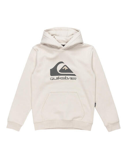 Sweat à capuche BIG LOGO Gris Garçon