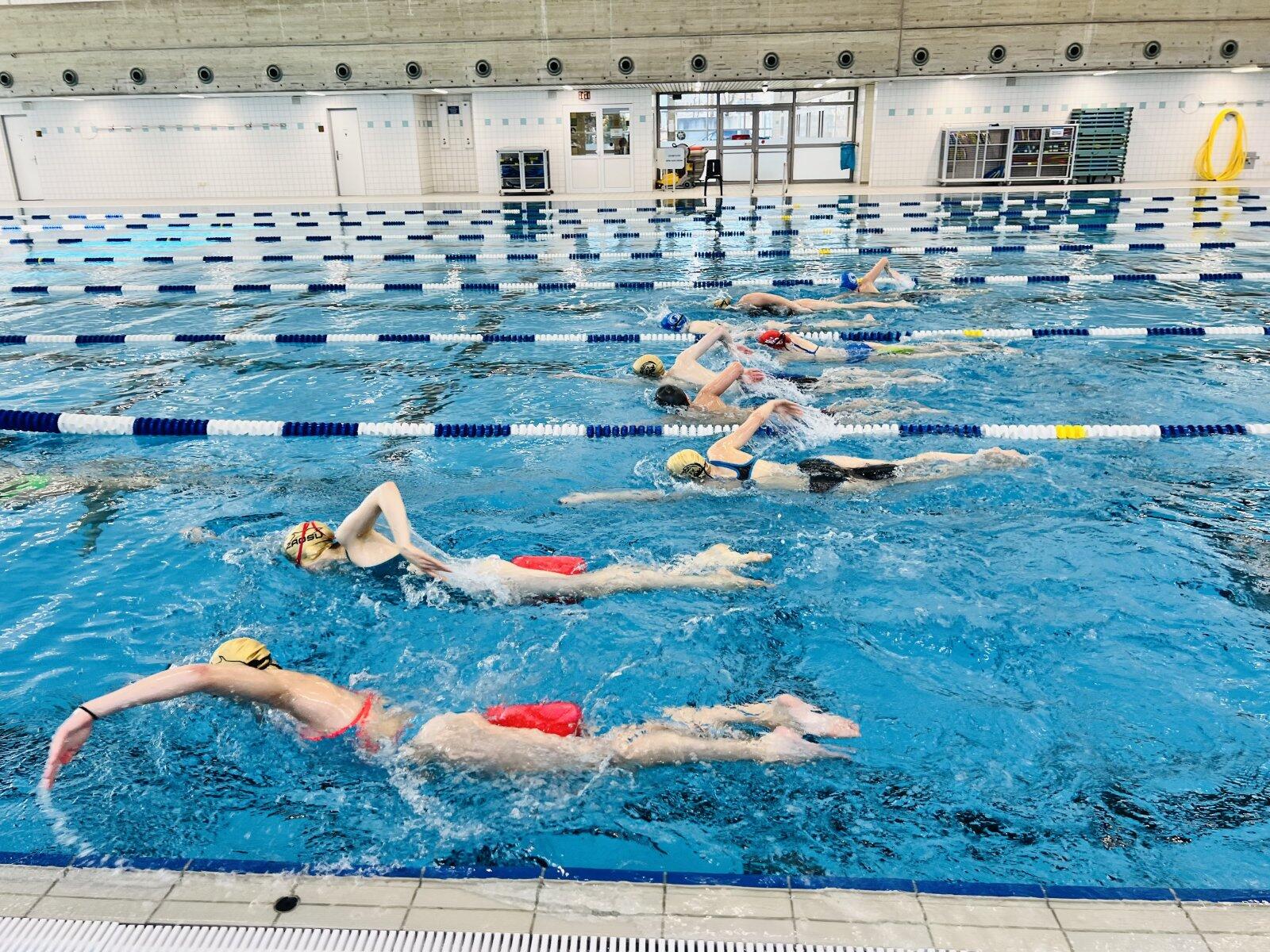 Planche de natation 2-en-1 Performance Pullkick, pullbuoy, natation, unisexe 3/5