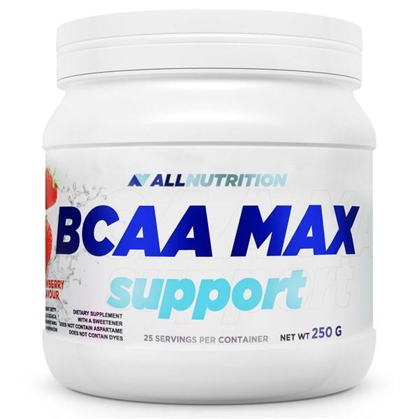 Aminokwasy BCAA MAX SUPPORT 250g Czarna Porzeczka