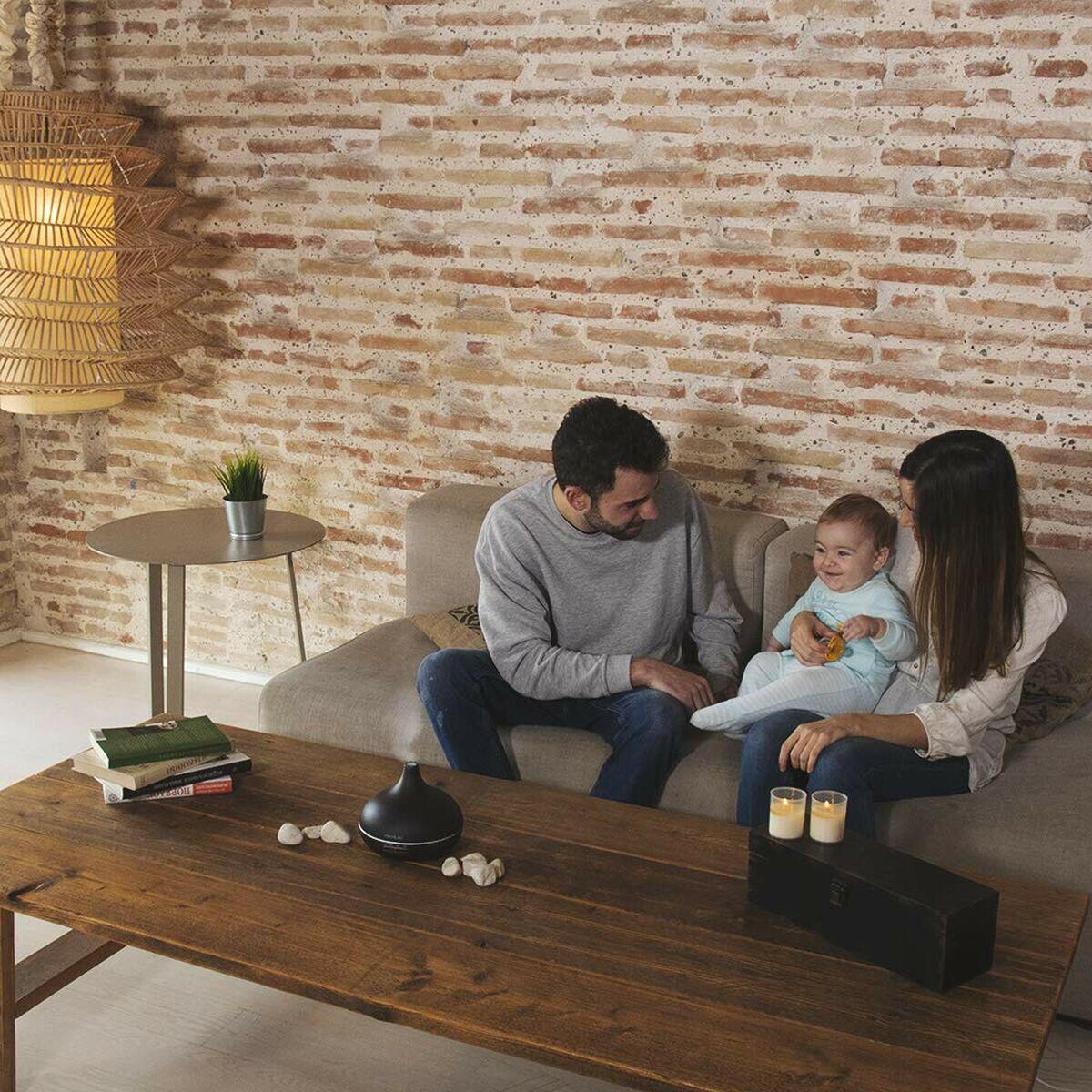 Humidificateur diffuseur d'arômes Cecotec 05283 Noir 5/5
