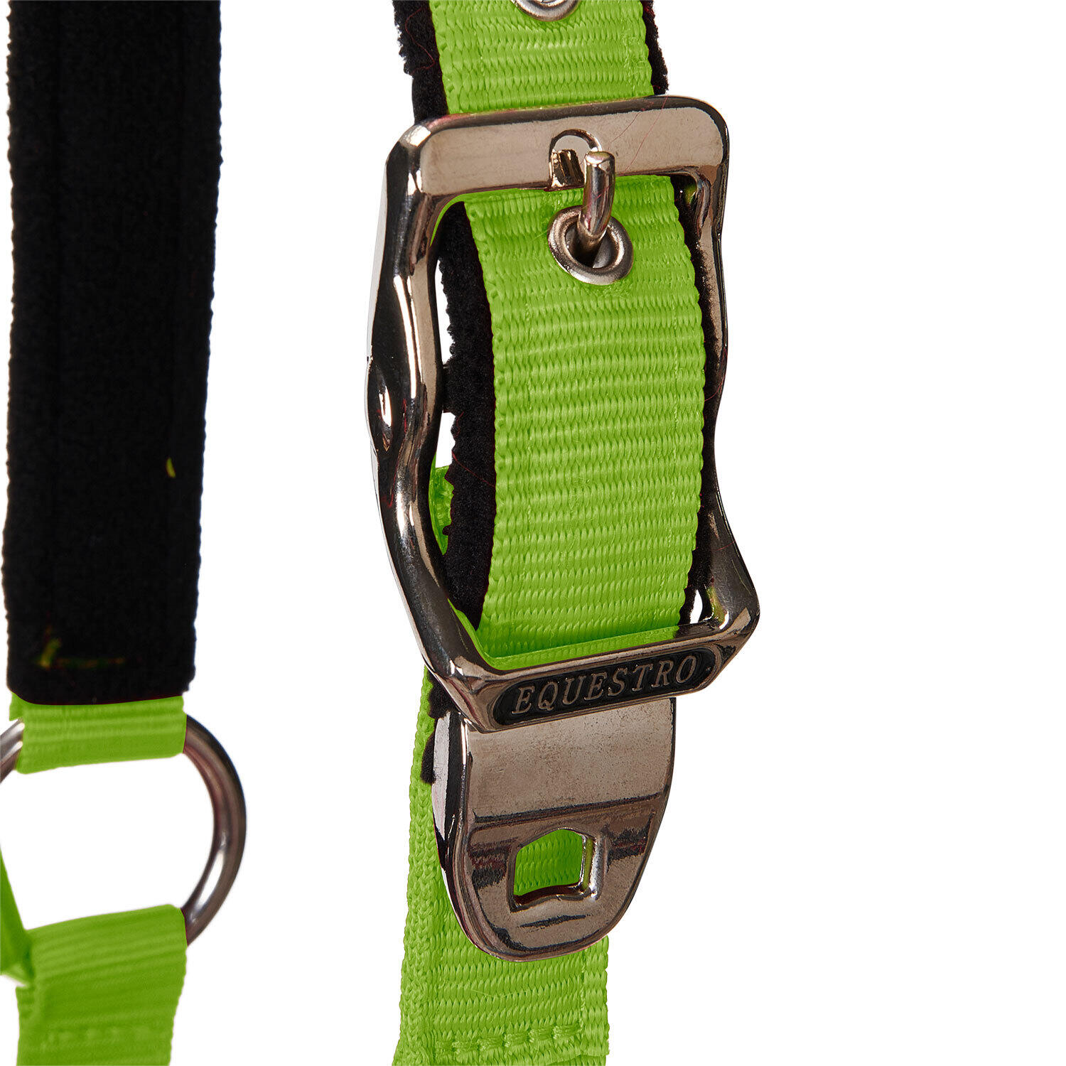 Licol pour cheval avec longueur Equestro Modello Shiny Fittings 3/7