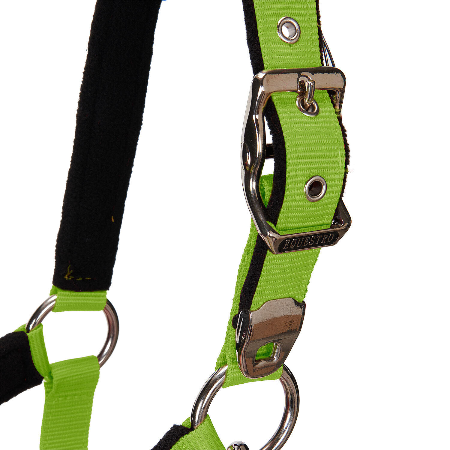 Licol pour cheval avec longueur Equestro Modello Shiny Fittings 5/7