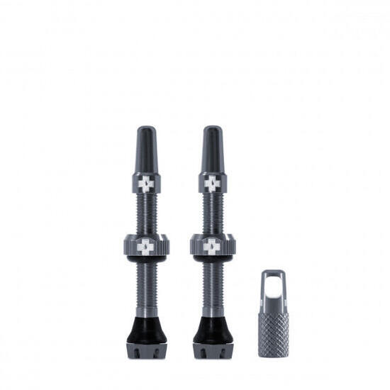 Valvole V2 per pneumatici tubeless - grigio - MTB & Road