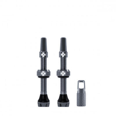 V2 ventielen voor tubeless banden - grijs - mtb & road