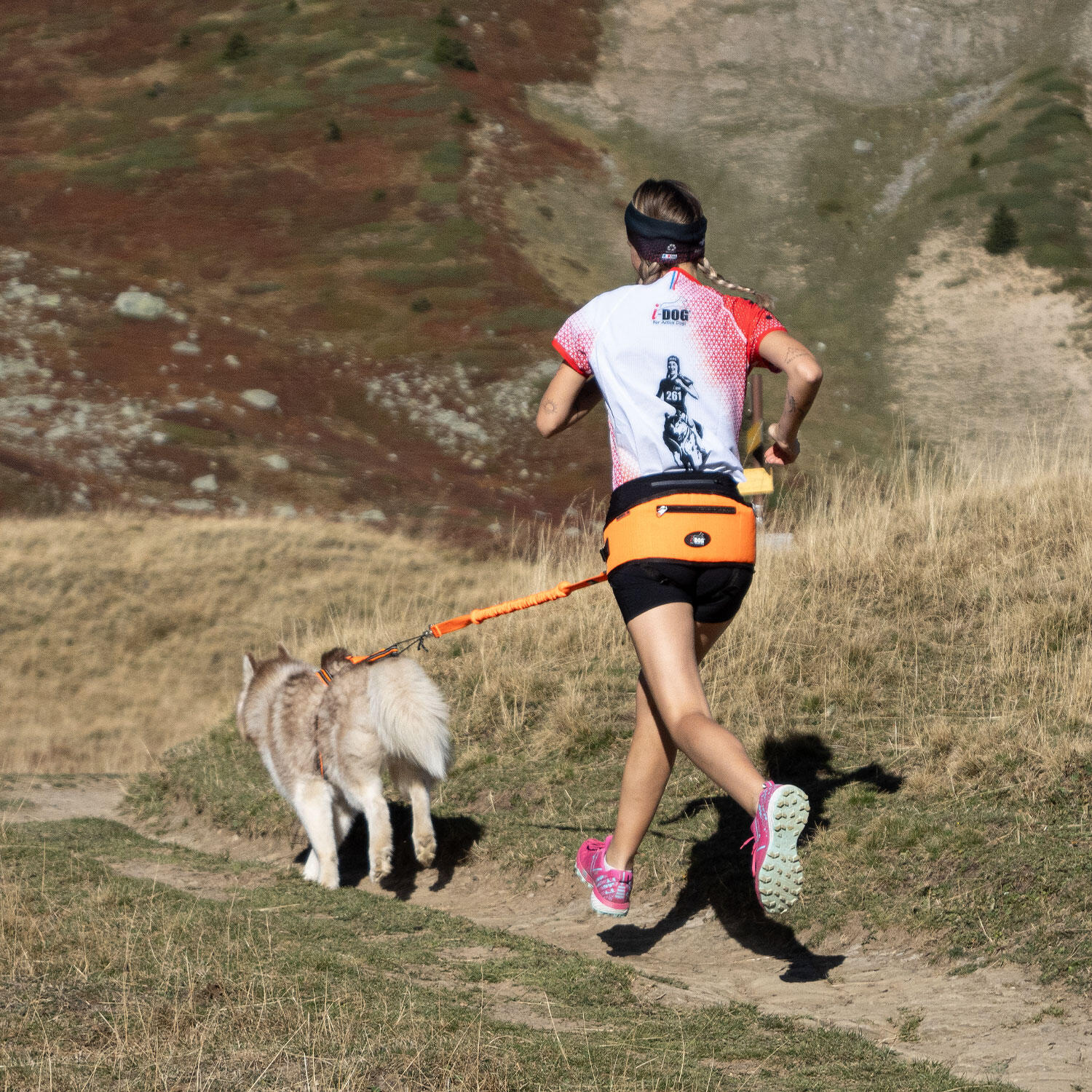 Longe laisse de traction ONE pour courir avec son chien canicross, sport/loisirs 4/7