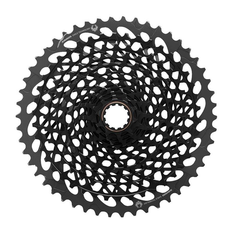 110631d3-782d-4ff4-8778-47f48aa81e51_c1