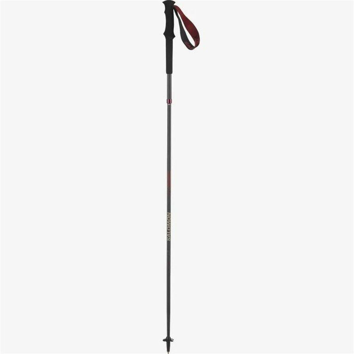 Set di 2 bastoncini da trekking Salomon Quest Carbon Foldable 2/2
