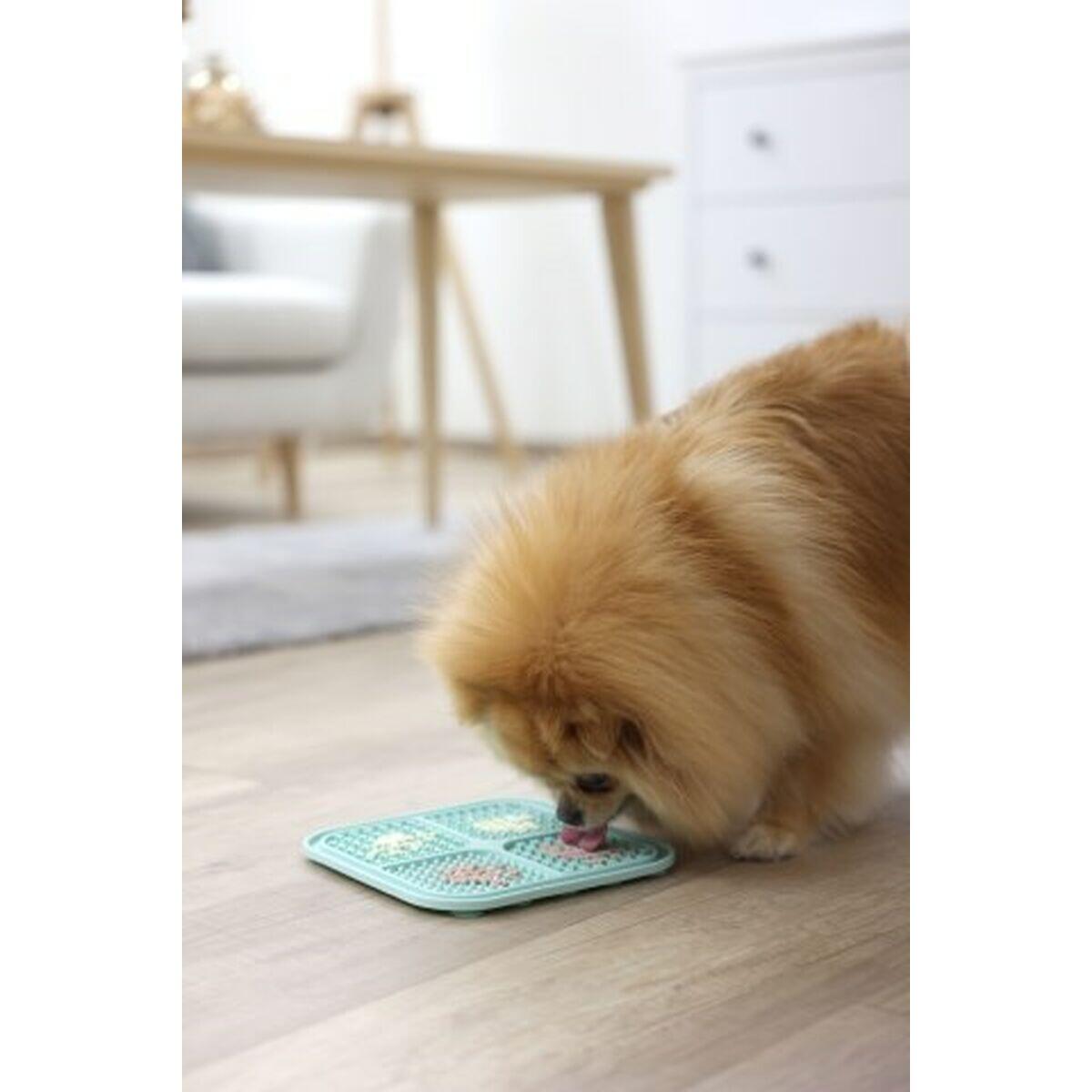 Mangeoire pour chats Kerbl                                 Turquoise 5/5